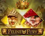 Feline Fury